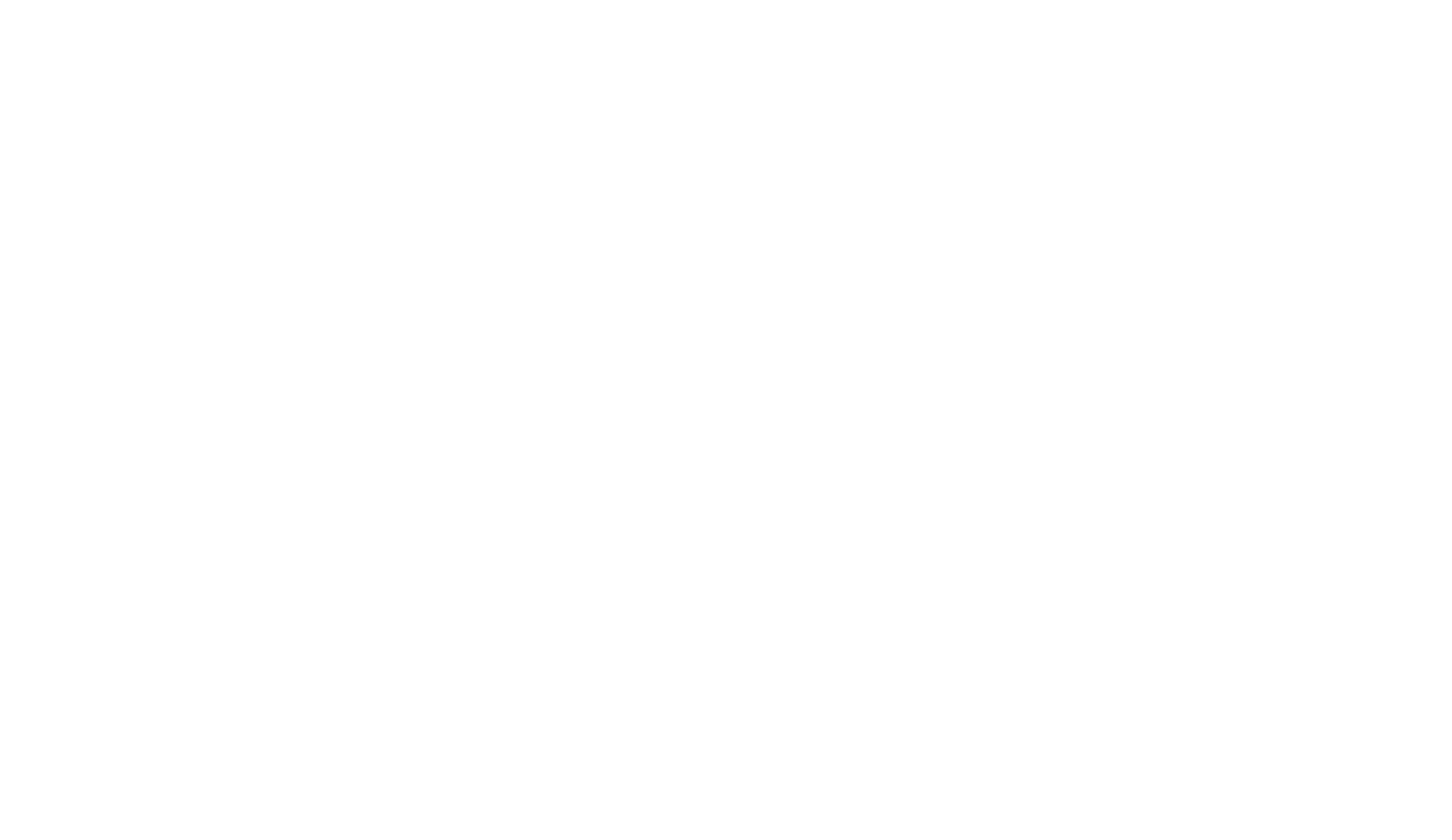 NextLevel_Logo_RGB_White-1