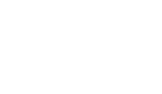NextLevel_Logo_RGB_White
